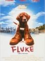 Lembranças de Outra Vida - Cartaz do Filme