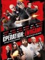 Operação Fim de Jogo - Cartaz do Filme