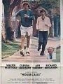 Um Viúvo Trapalhão - Cartaz do Filme