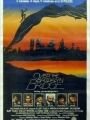 Uma Ponte Chamada Esperança - Cartaz do Filme