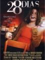 28 Dias - Cartaz do Filme
