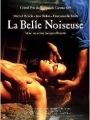 A Bela Intrigante - Cartaz do Filme