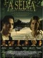 A Selva - Cartaz do Filme