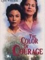 As Cores da Amizade - Cartaz do Filme