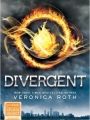 Divergente - Cartaz do Filme