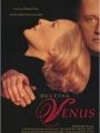 Encontro com Venus - Cartaz do Filme
