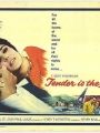 Suave é A Noite - Cartaz do Filme