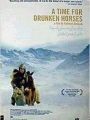 Tempo de Embebedar Cavalos - Cartaz do Filme