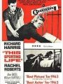 This Sporting Life - Cartaz do Filme