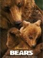 Ursos - Cartaz do Filme