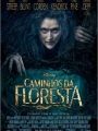 Caminhos da Floresta - Cartaz do Filme