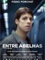 Entre Abelhas - Cartaz do Filme