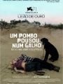 Um Pombo Pousou num Galho Refletindo sobre a Existência - Cartaz do Filme