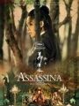A Assassina - Cartaz do Filme