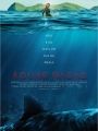 Águas Rasas - Cartaz do Filme