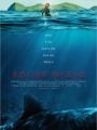 Águas Rasas - Cartaz do Filme