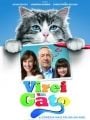 Virei um Gato - Cartaz do Filme