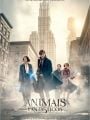 Animais Fantásticos e Onde Habitam - Cartaz do Filme