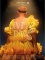 Divinas Divas - Cartaz do Filme