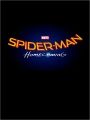 Homem-aranha - Cartaz do Filme