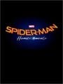 Homem-aranha - Cartaz do Filme