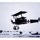 Triplane