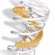 Triple Helix