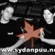 Sydänpuu