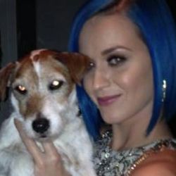 Letras de Perry