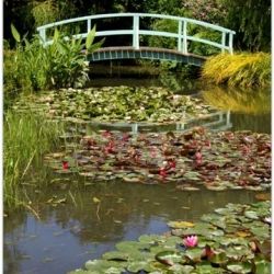 Letras de Monet