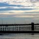 Madryn