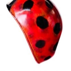 Letras de Lady Bug