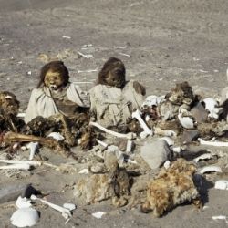 Letras de Human Remain