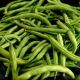 Green Bean