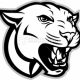 Cougar