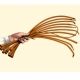 Catheter