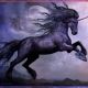 Black Unicorn