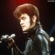 Alvin Stardust