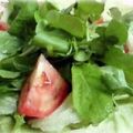 Receita Salada com Alface, Rúcula, Agrião, Chicória, Tomate e Cebola