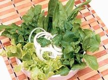 Receita Salada Verde com Hortelã