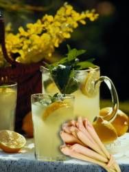 Receita Suco de Limão com Erva-cidreira