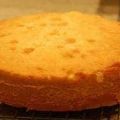 Receita Pão de Ló para Bolos de Aniversario Fácil