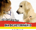 Dia do Médico Veterinário 16691