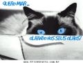 Gatinhos 18028