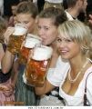 Bebidas 19252