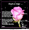 Amizade 4019