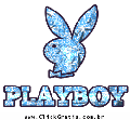 Playboy 12363