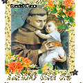 Lindo Dia de Santo Antonio