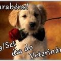 Parabéns Veterinário