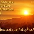 Te Desejo um Feliz Ano Novo